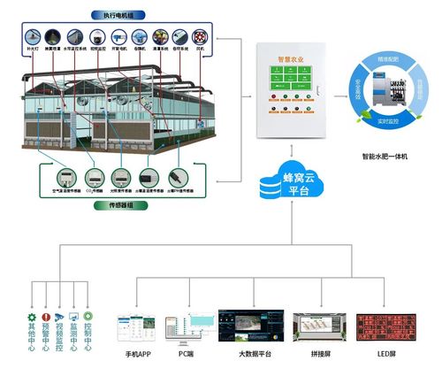 福建蜂窝物联 以物联网技术构建智慧农业大棚建设方案
