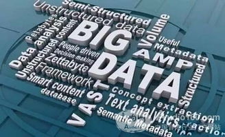 DMX携手数博会暨物联网高峰论坛隆重召开，共话物联网技术研发与应用新篇章